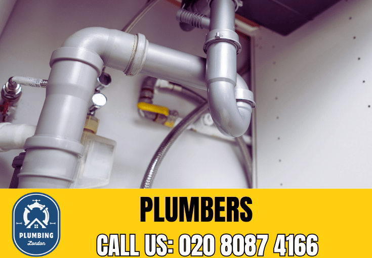  plumber Plaistow