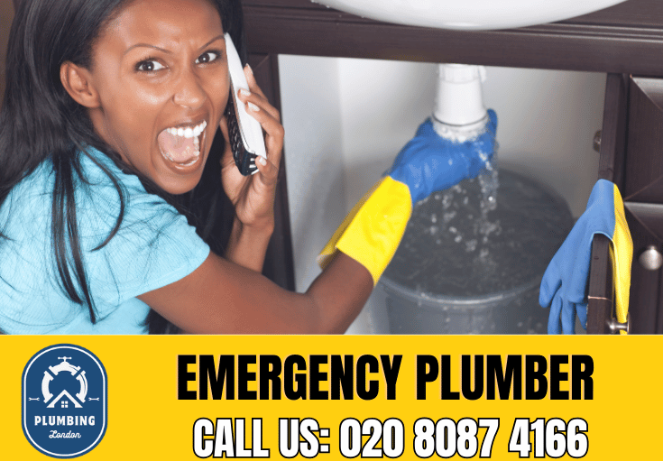 emergency plumber East Finchley