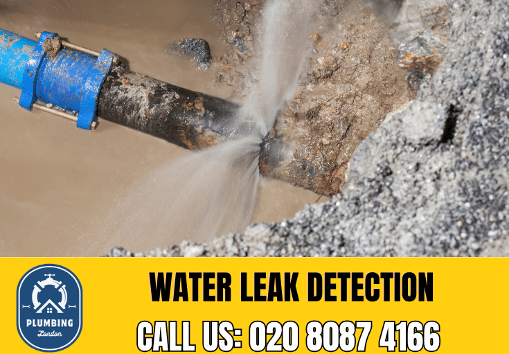 leak detection East Finchley